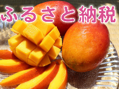 今帰仁村ふるさと納税