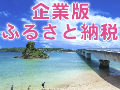 今帰仁村企業版ふるさと納税