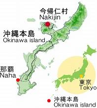 沖縄本島における那覇市と今帰仁村の位置、東京から沖縄本島への距離を示す地図のイラスト